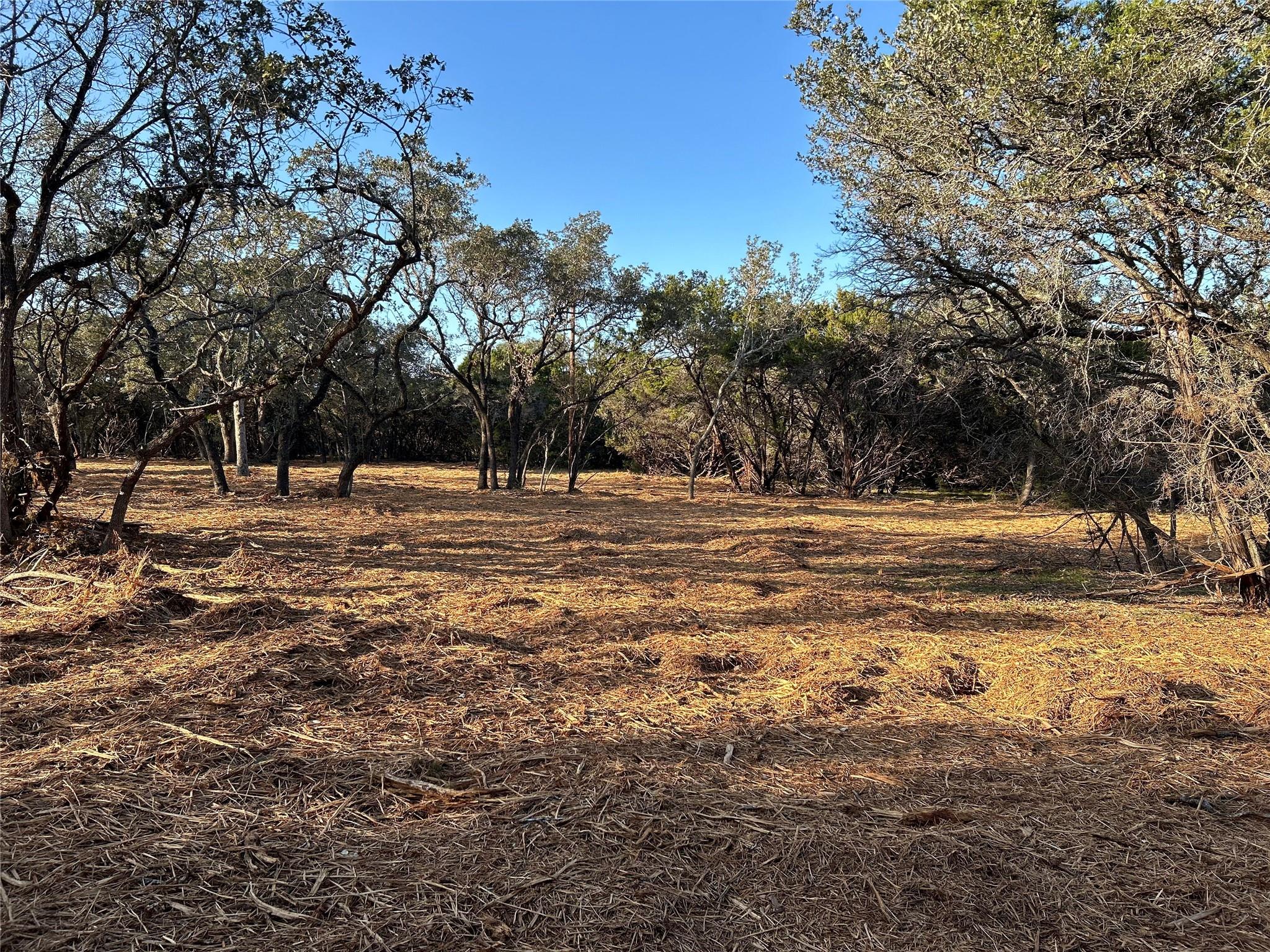 301 Cr-282 Lot 1 Rd Property Photo 7