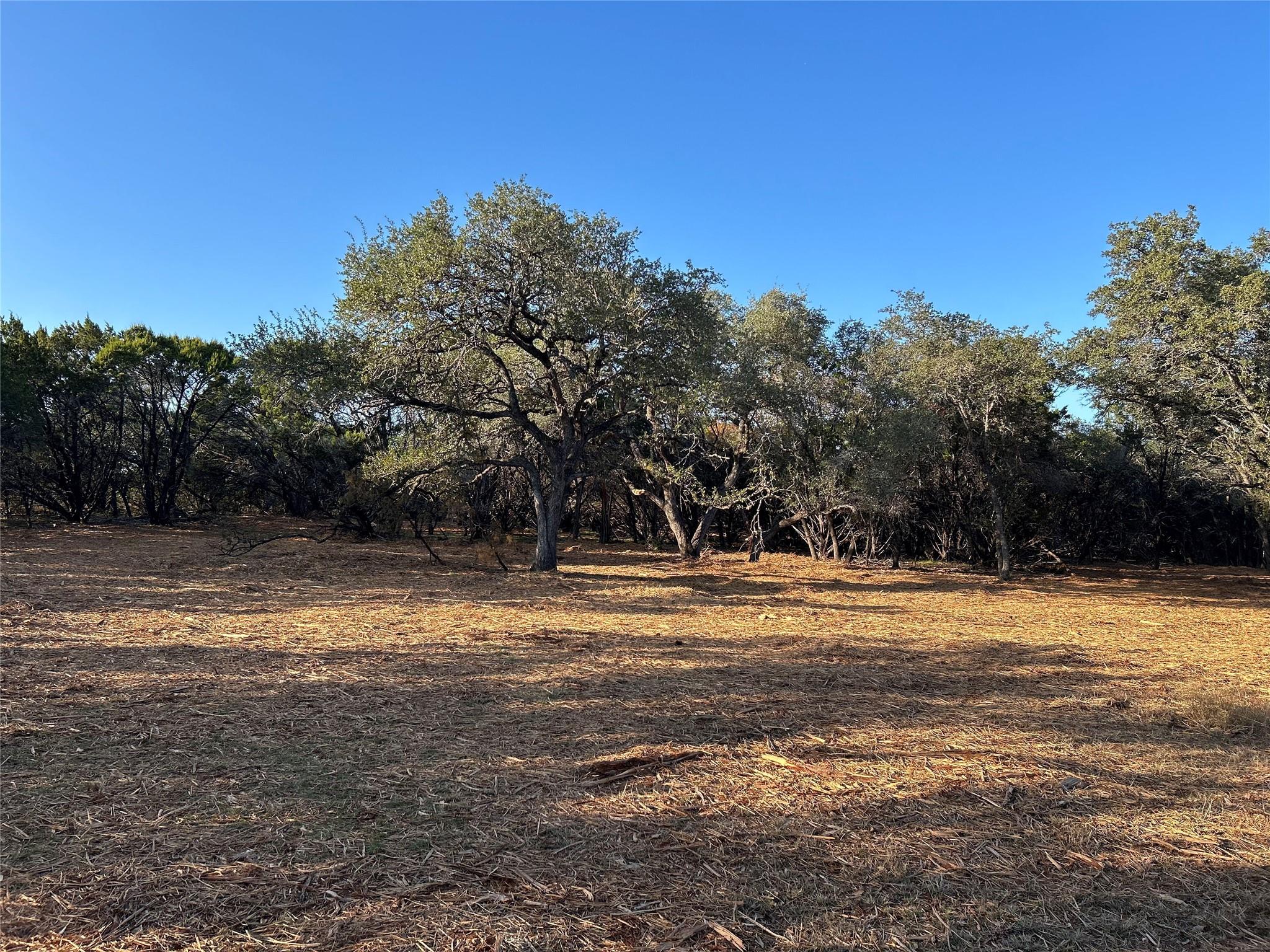 301 Cr-282 Lot 1 Rd Property Photo 13