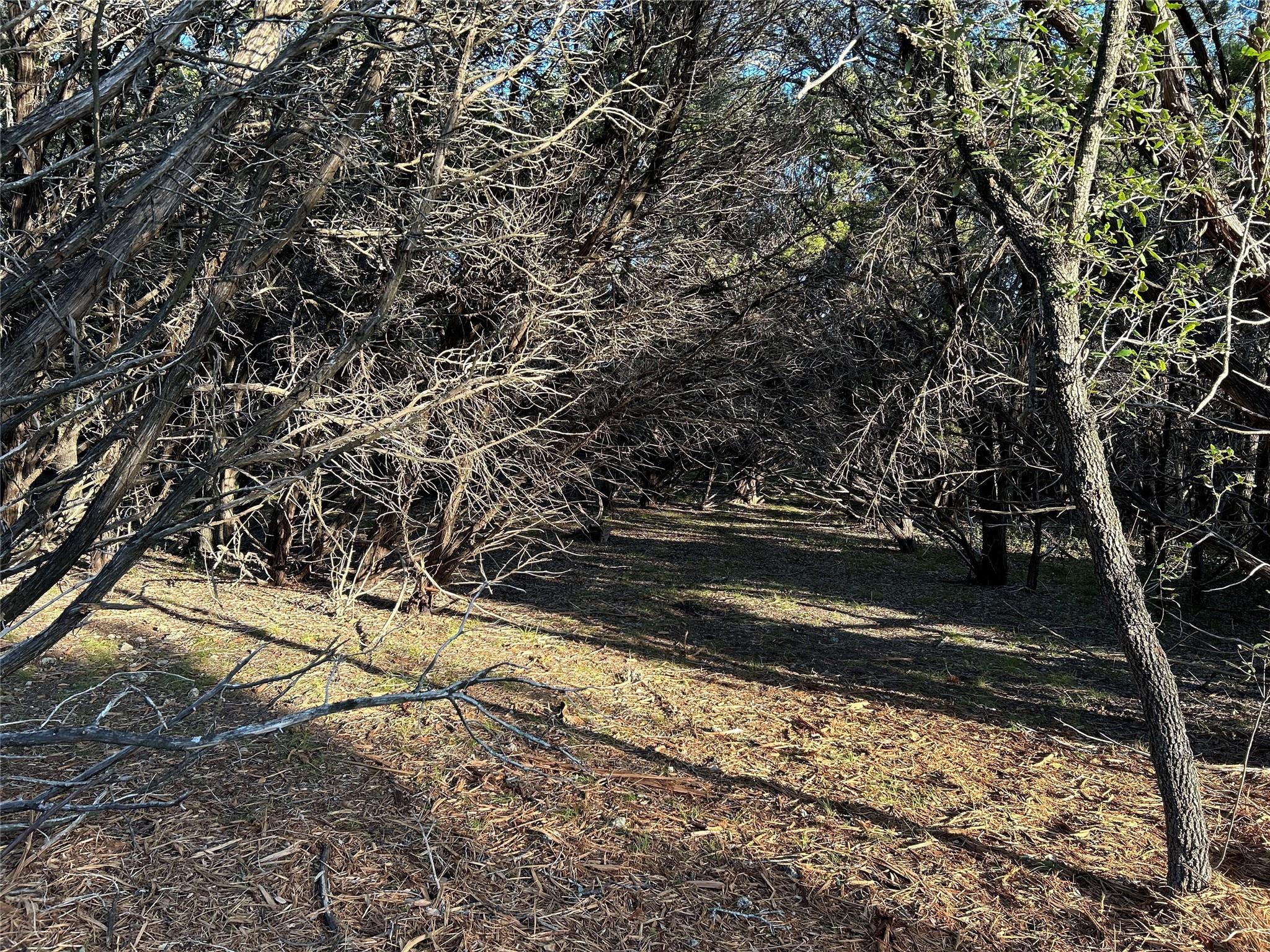 301 Cr-282 Lot 1 Rd Property Photo 16