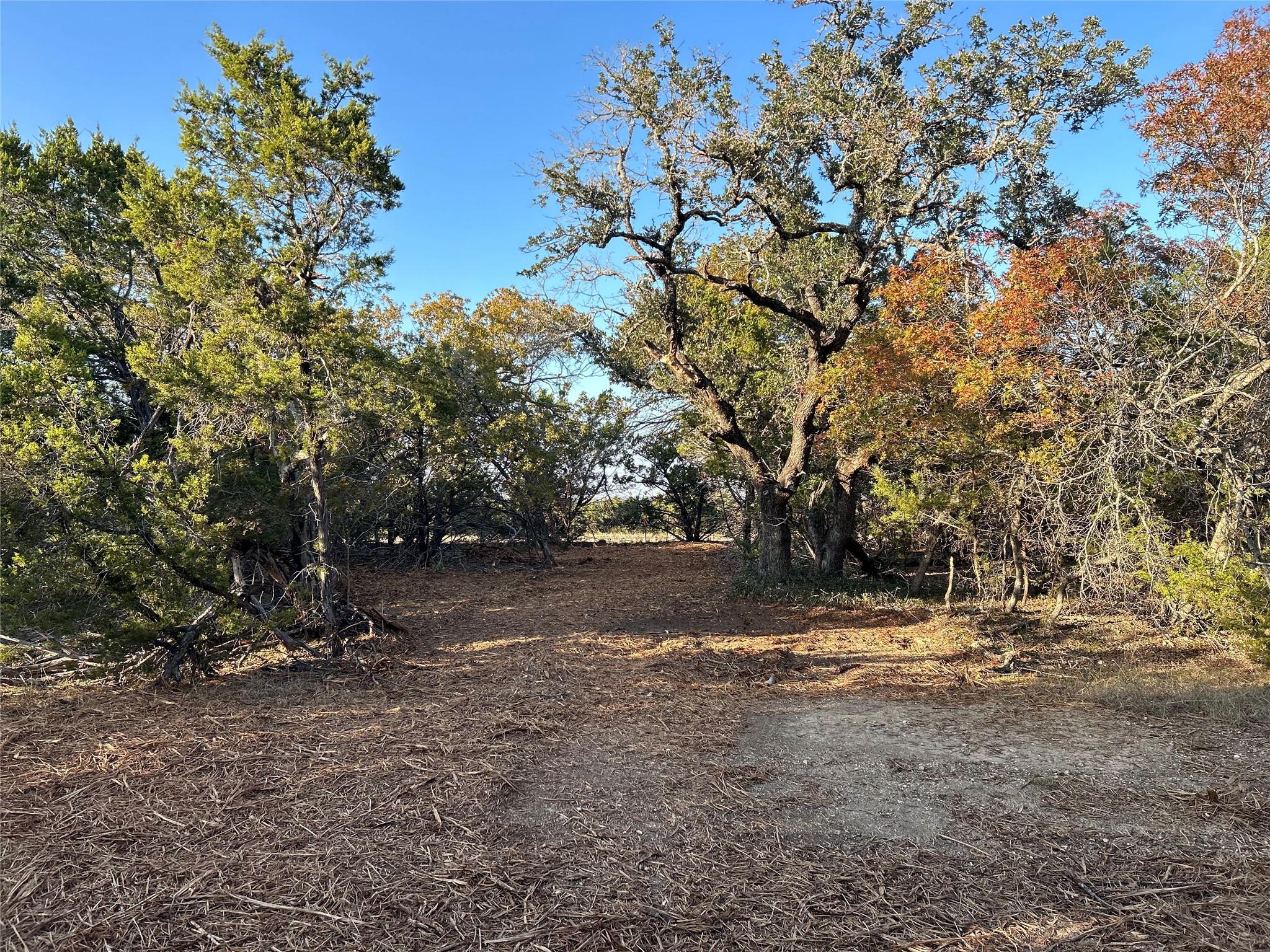 301 Cr-282 Lot 1 Rd Property Photo 18