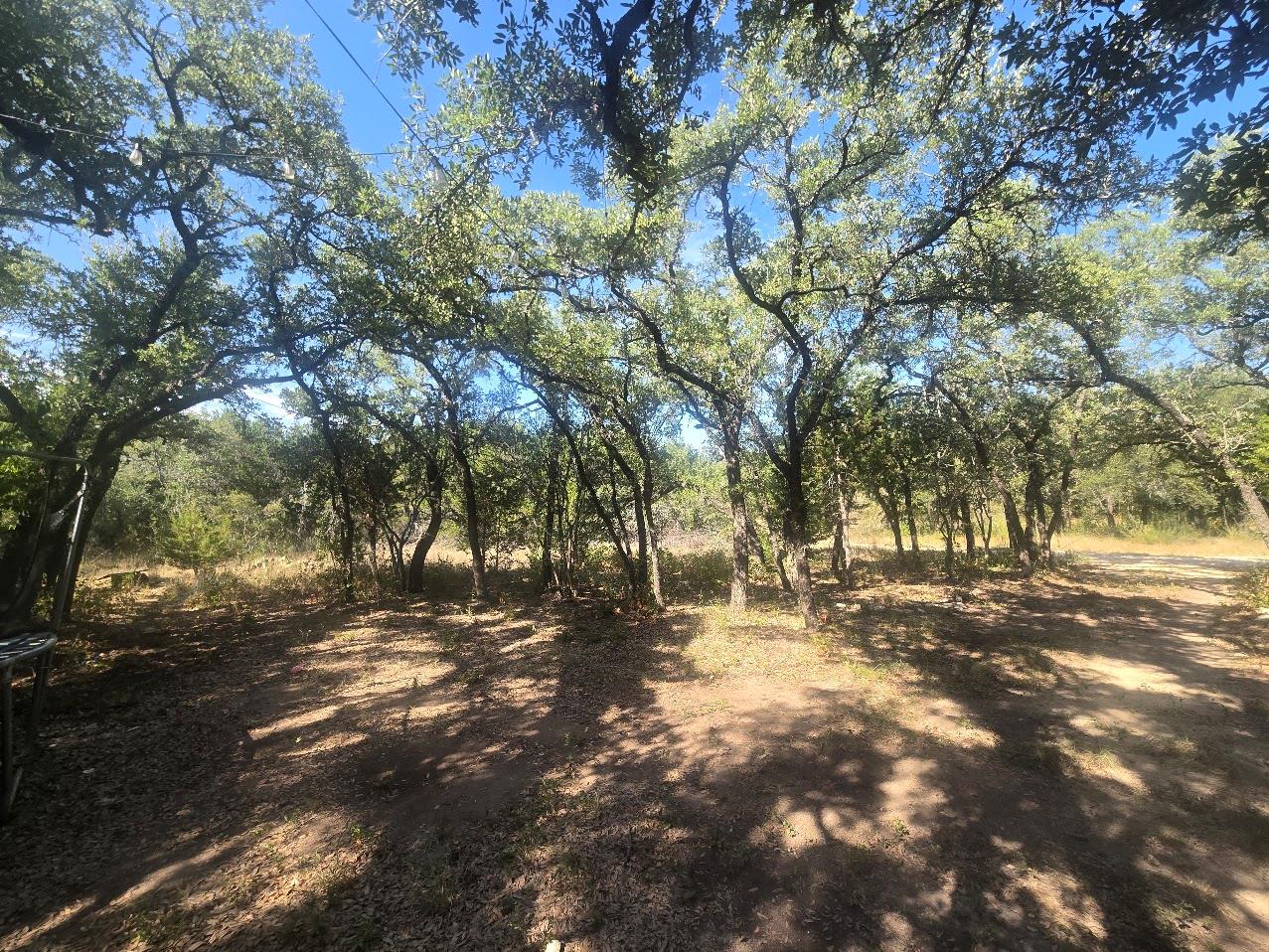 21401 Lindeman Ln Property Photo 6