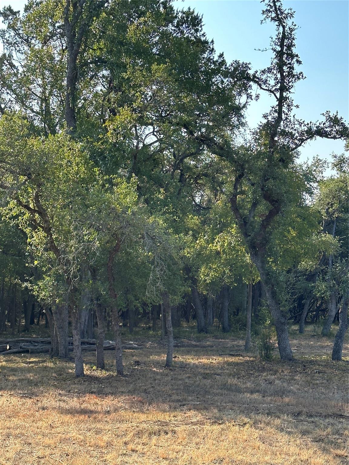 12333a Ranch Rd 12 1 Property Photo 12
