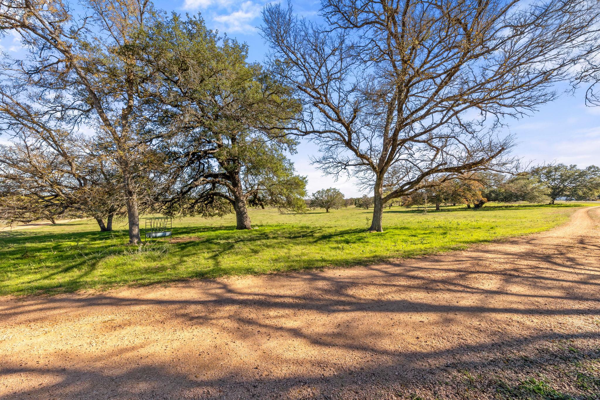 1700 County Road 402 Property Photo 19