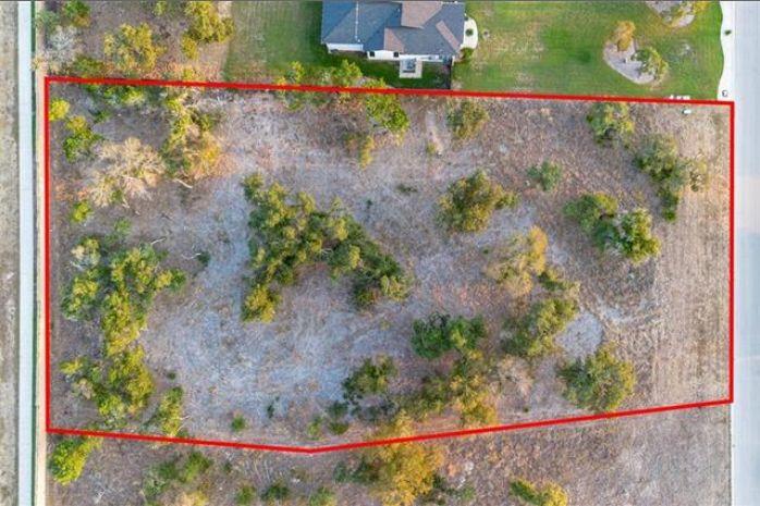 3212 Whitt Park Path Property Photo 2