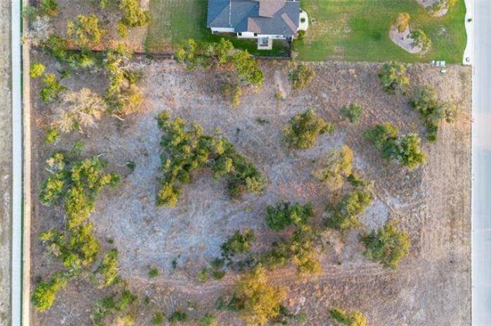 3212 Whitt Park Path Property Photo 5