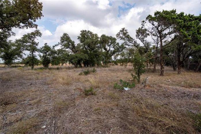 3212 Whitt Park Path Property Photo 12