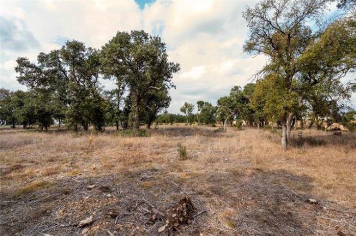 3212 Whitt Park Path Property Photo 19