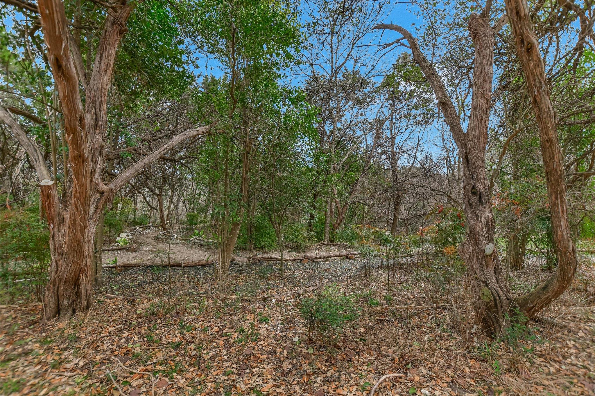 11803 Hornsby St Property Photo 24