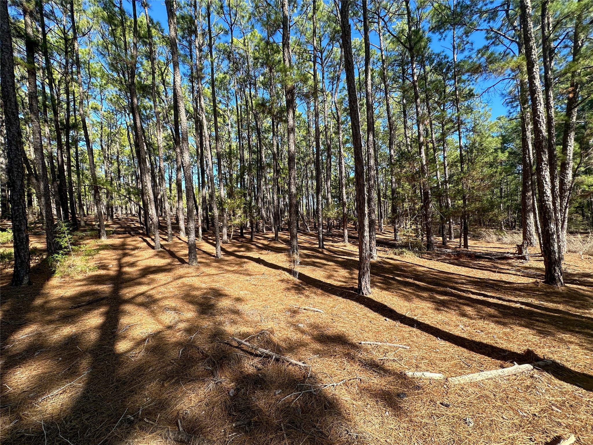 Lot 12 Hickory Ridge Dr Property Photo 1