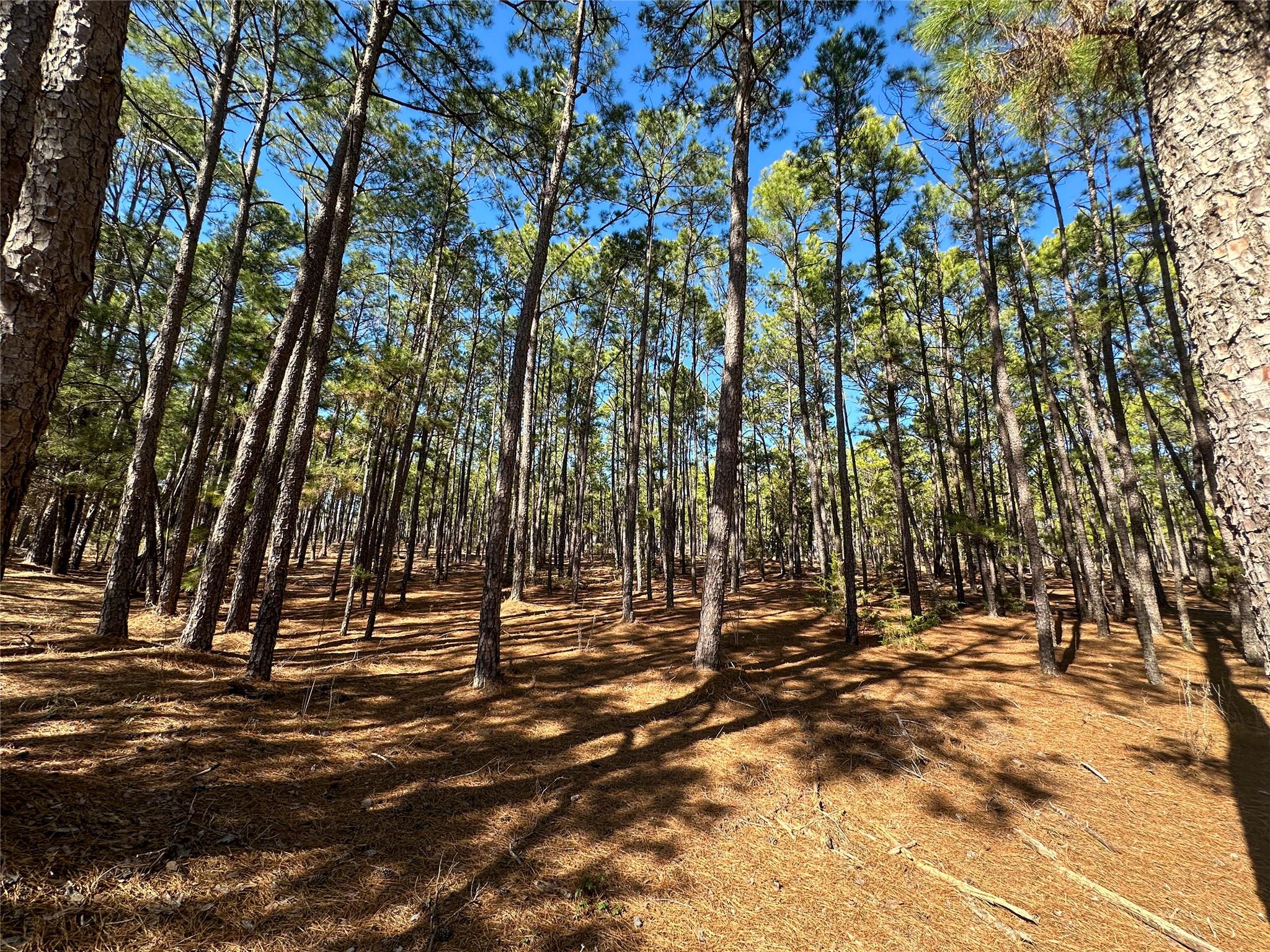 Lot 12 Hickory Ridge Dr Property Photo 2