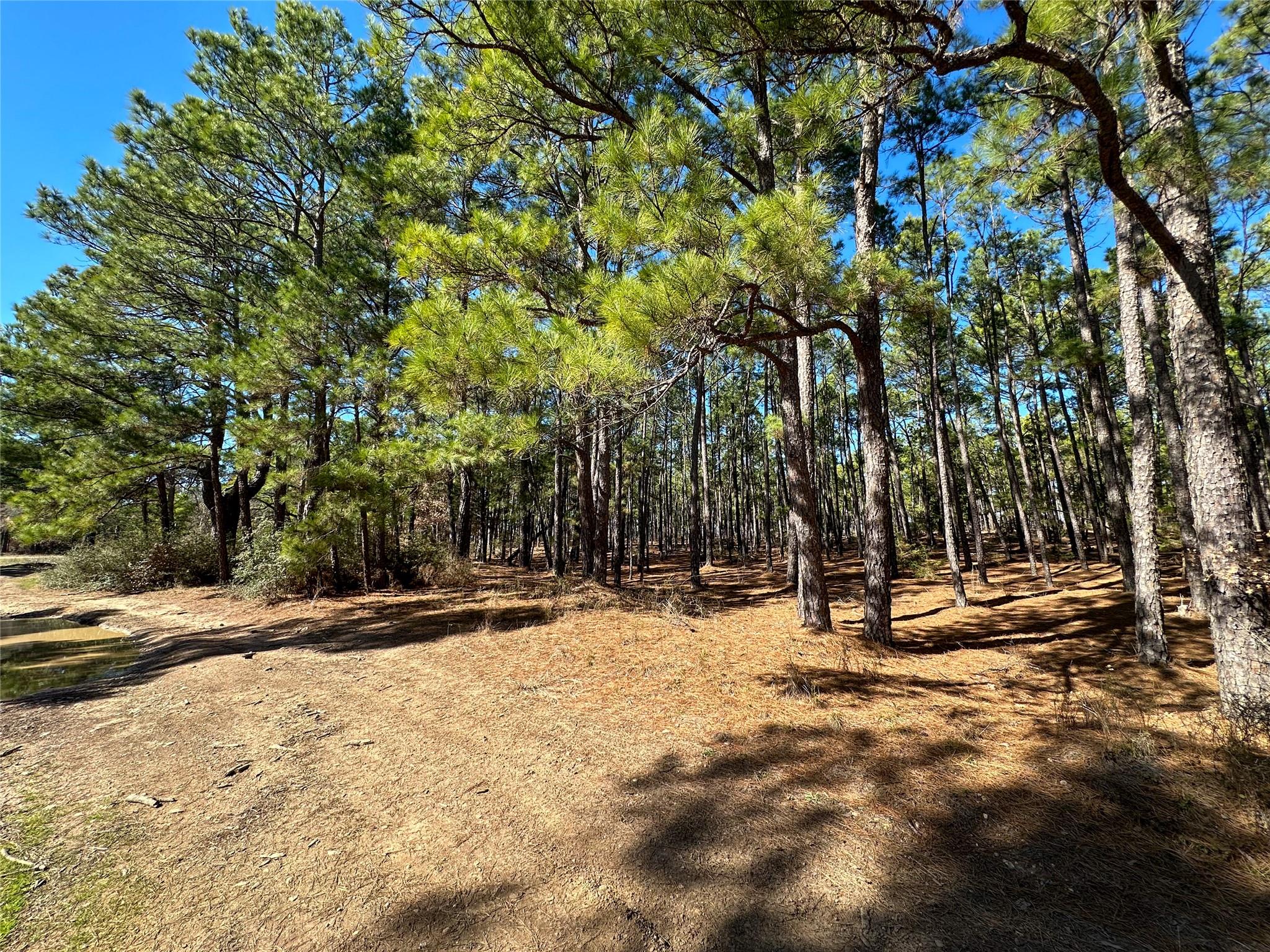 Lot 12 Hickory Ridge Dr Property Photo 3