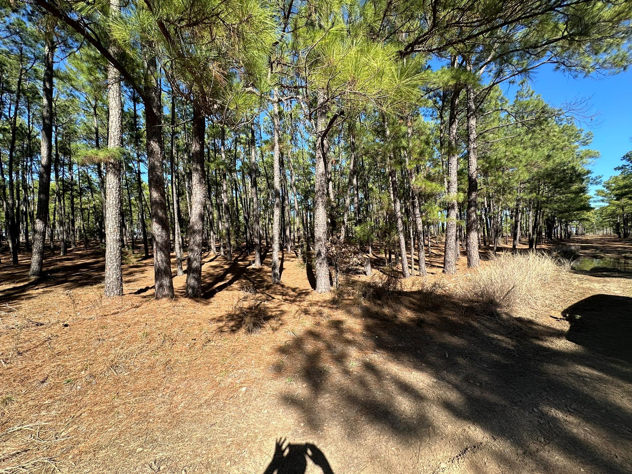 Lot 12 Hickory Ridge Dr Property Photo 4