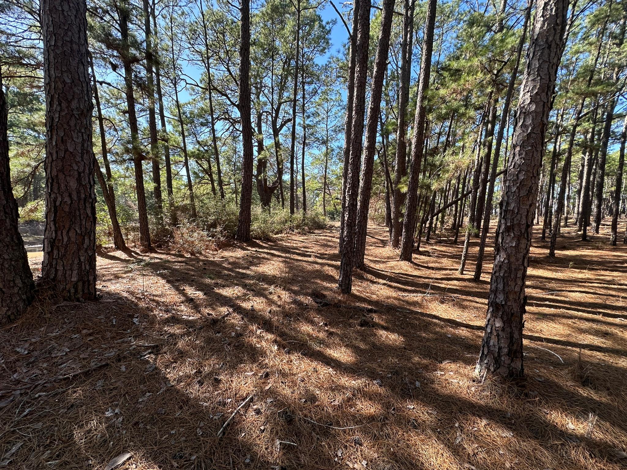 Lot 12 Hickory Ridge Dr Property Photo 5