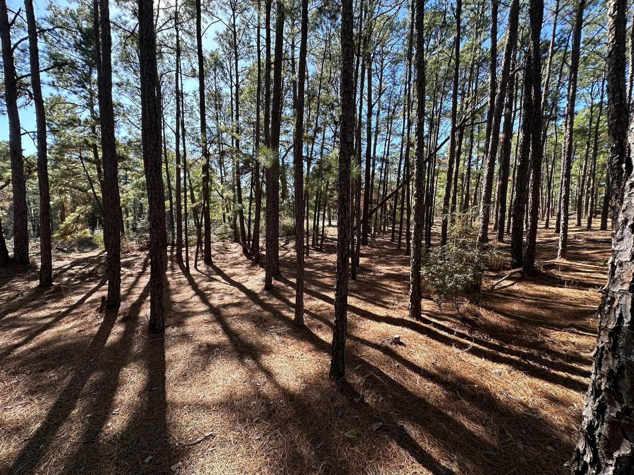 Lot 12 Hickory Ridge Dr Property Photo 6