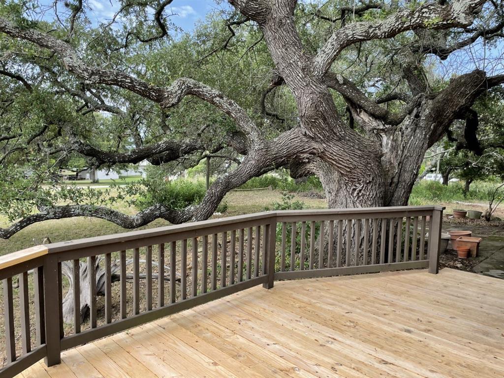 401 County Road 128 None Property Photo 5