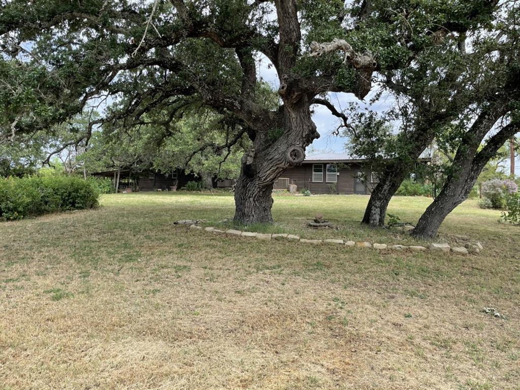 401 County Road 128 None Property Photo 6