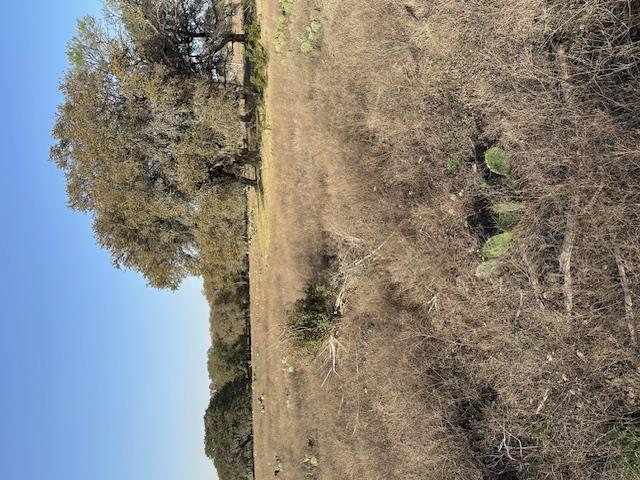 Tbd Cr 1320 Property Photo 11