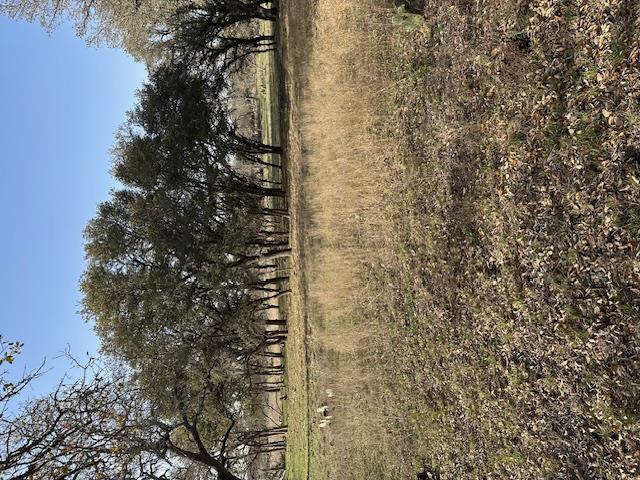 Tbd Cr 1320 Property Photo 12