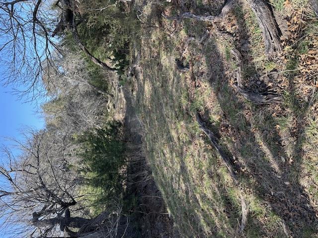 Tbd Cr 1320 Property Photo 21