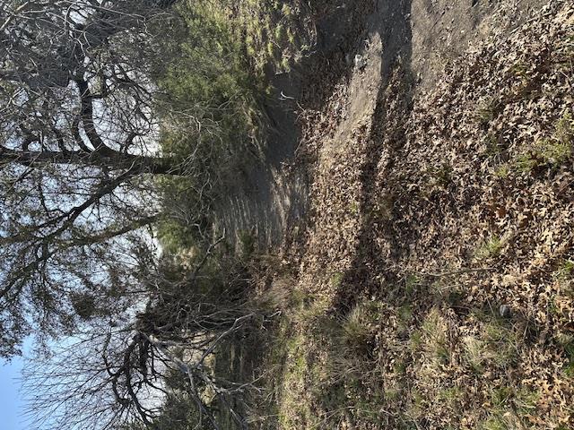 Tbd Cr 1320 Property Photo 22