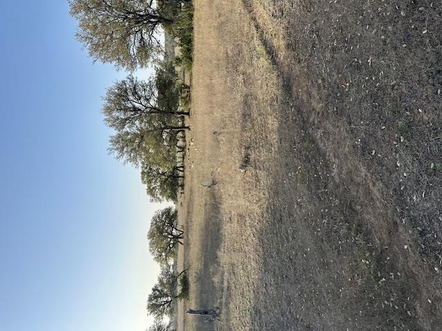 Tbd Cr 1320 Property Photo 31