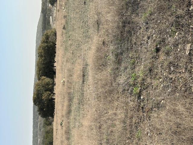 Tbd Cr 1320 Property Photo 32