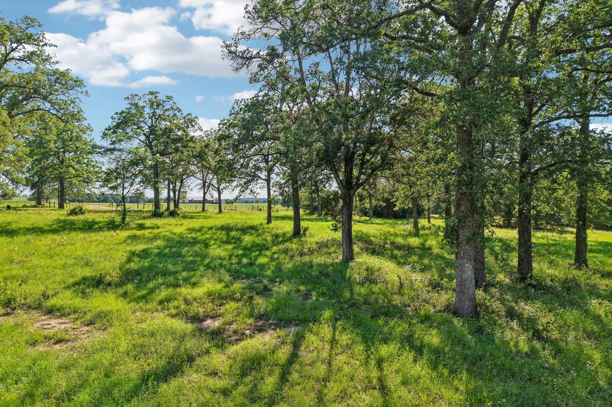 6 Acres County Road 211 None Property Photo 3