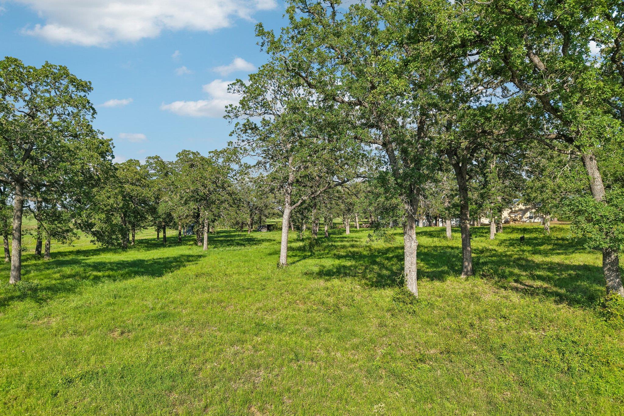 6 Acres County Road 211 None Property Photo 5