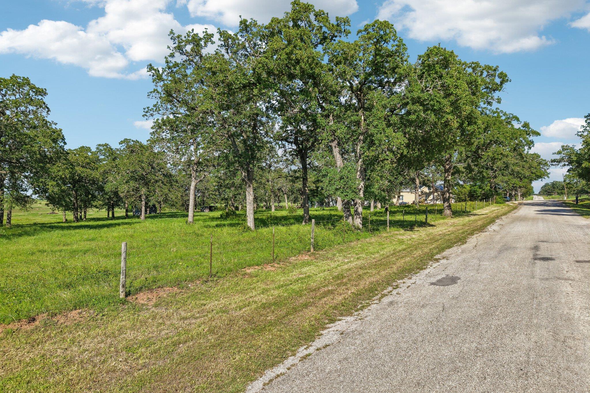 6 Acres County Road 211 None Property Photo 6
