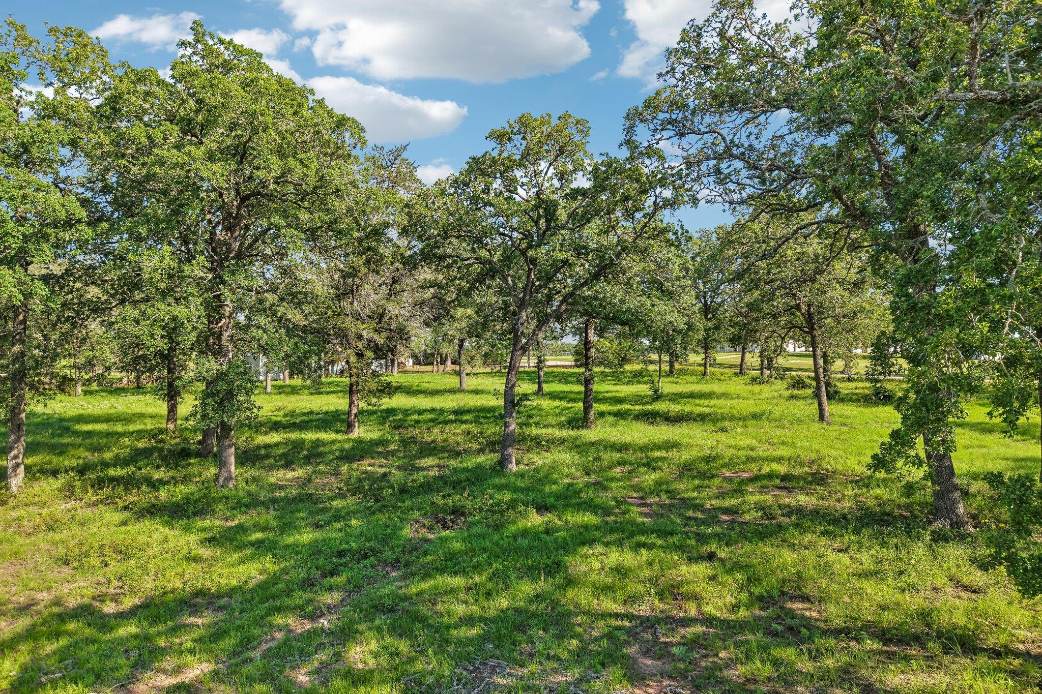6 Acres County Road 211 None Property Photo 8
