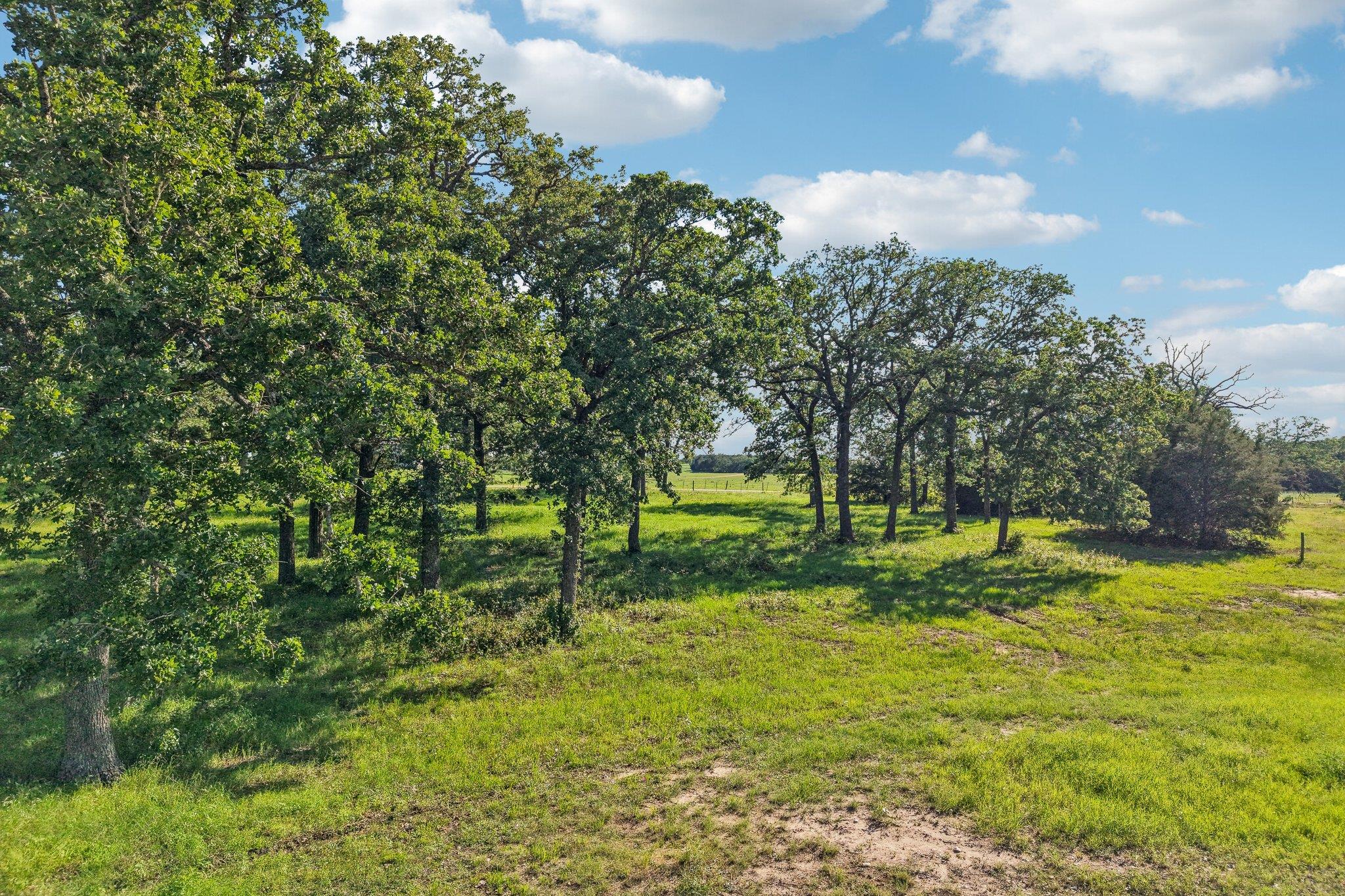 6 Acres County Road 211 None Property Photo 9