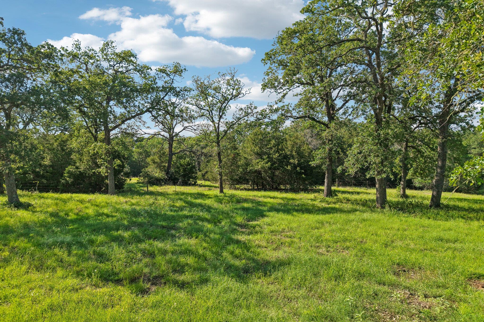 6 Acres County Road 211 None Property Photo 10