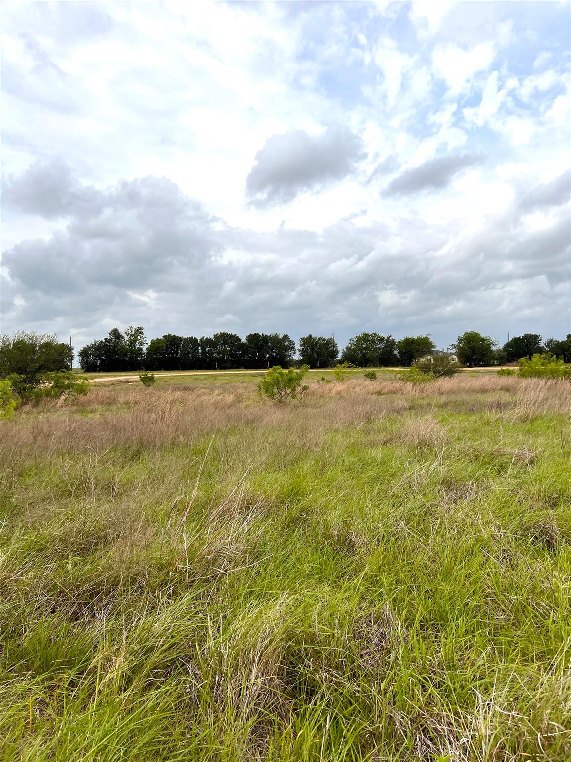 Tbd Lot 12 County Road 473 None Property Photo 11