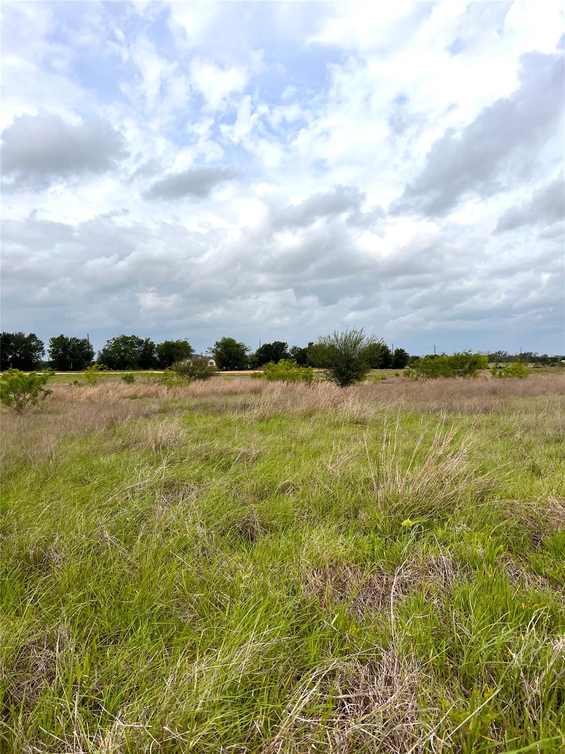 Tbd Lot 12 County Road 473 None Property Photo 12