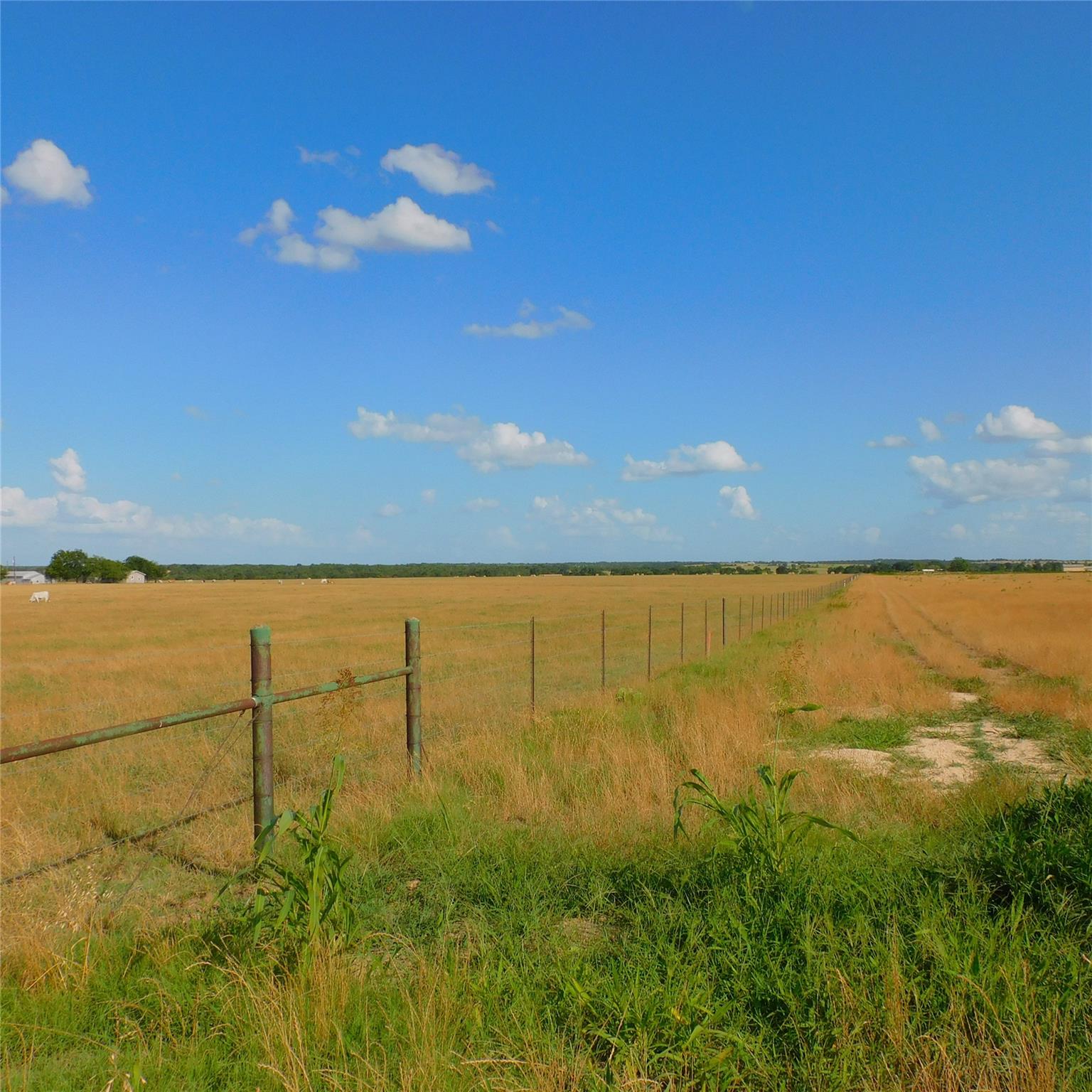 3001 Dolphindr ( Lot 2) Dr Property Photo 4