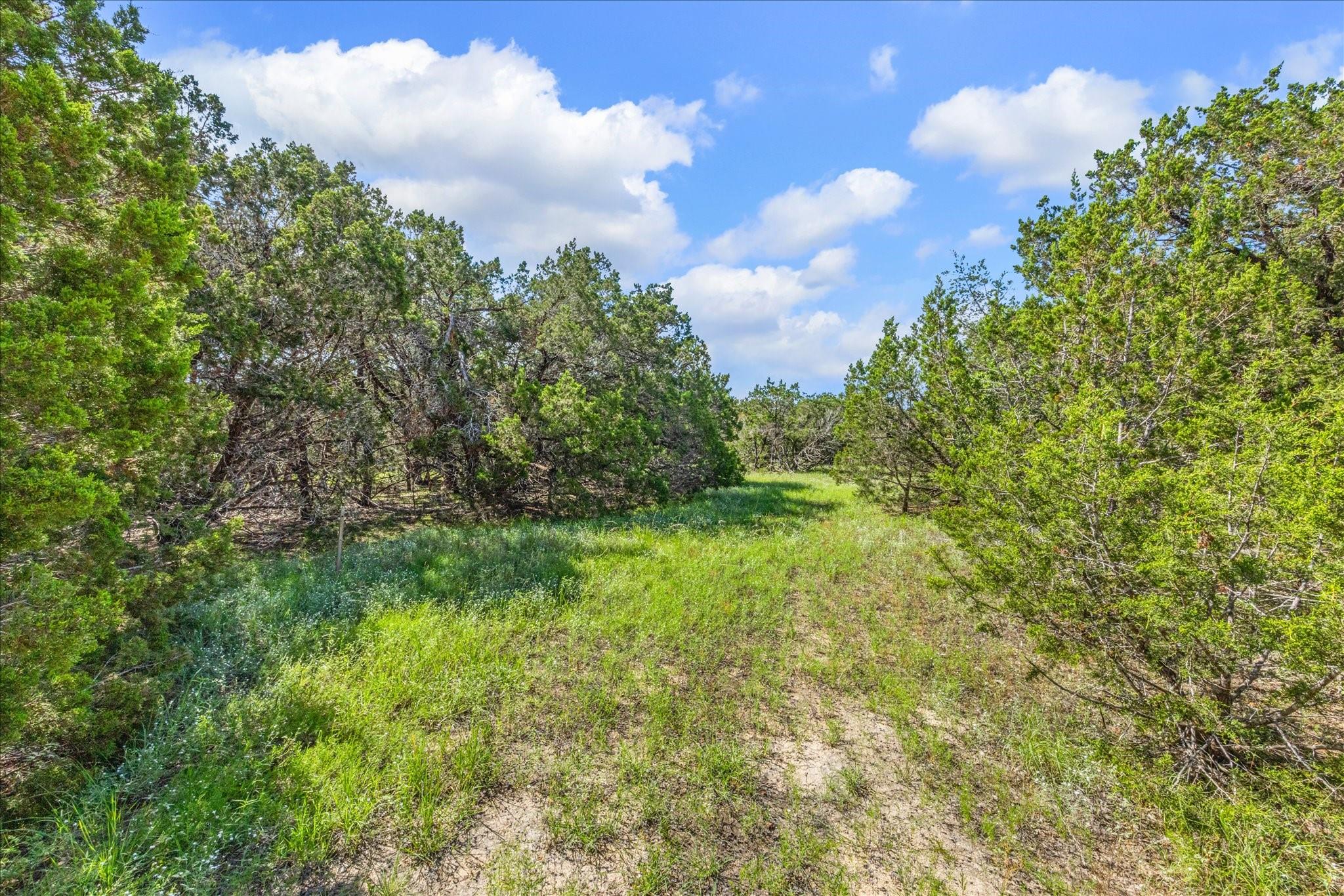 2453 S Rainbow Ranch Rd Property Photo 6