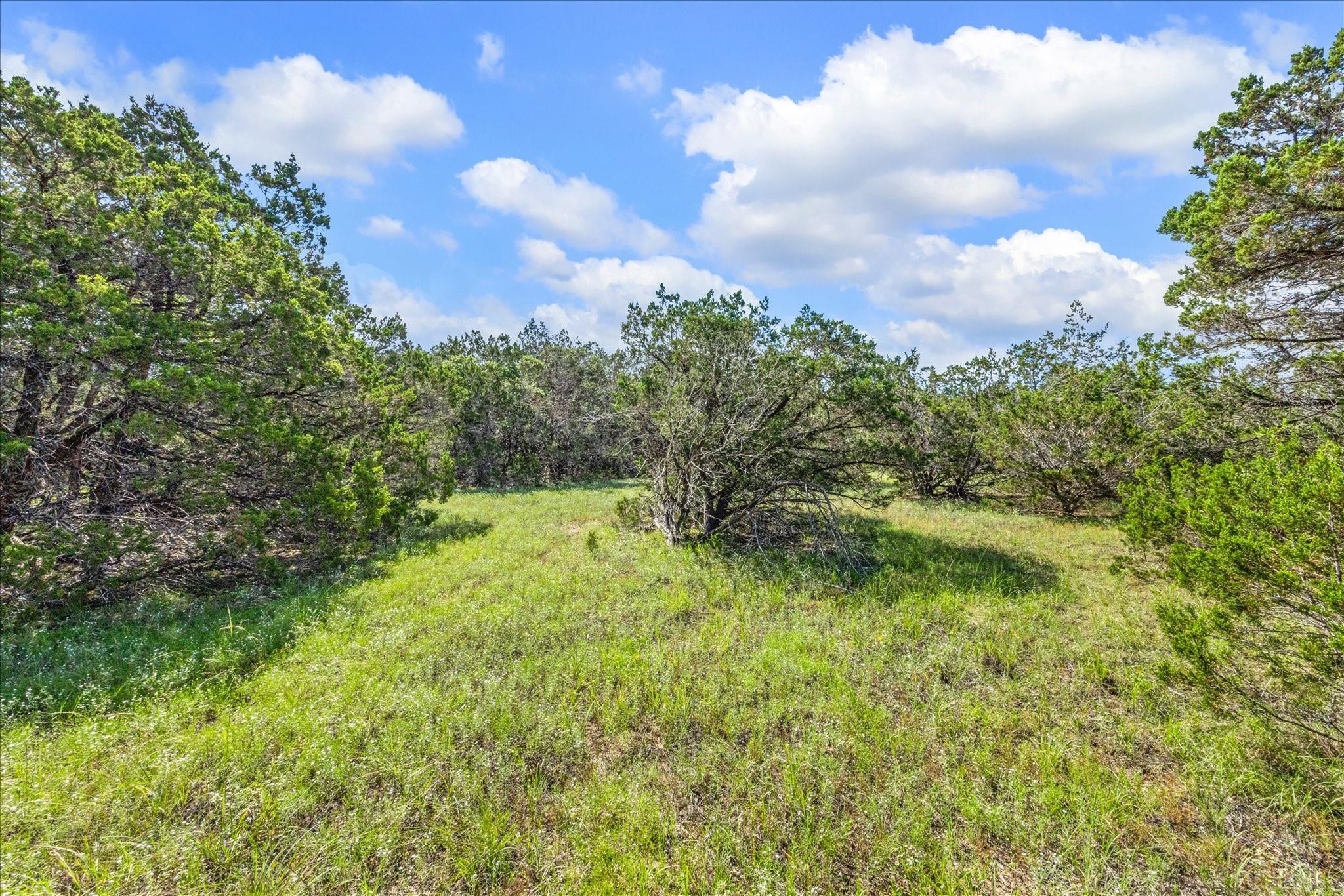 2453 S Rainbow Ranch Rd Property Photo 7