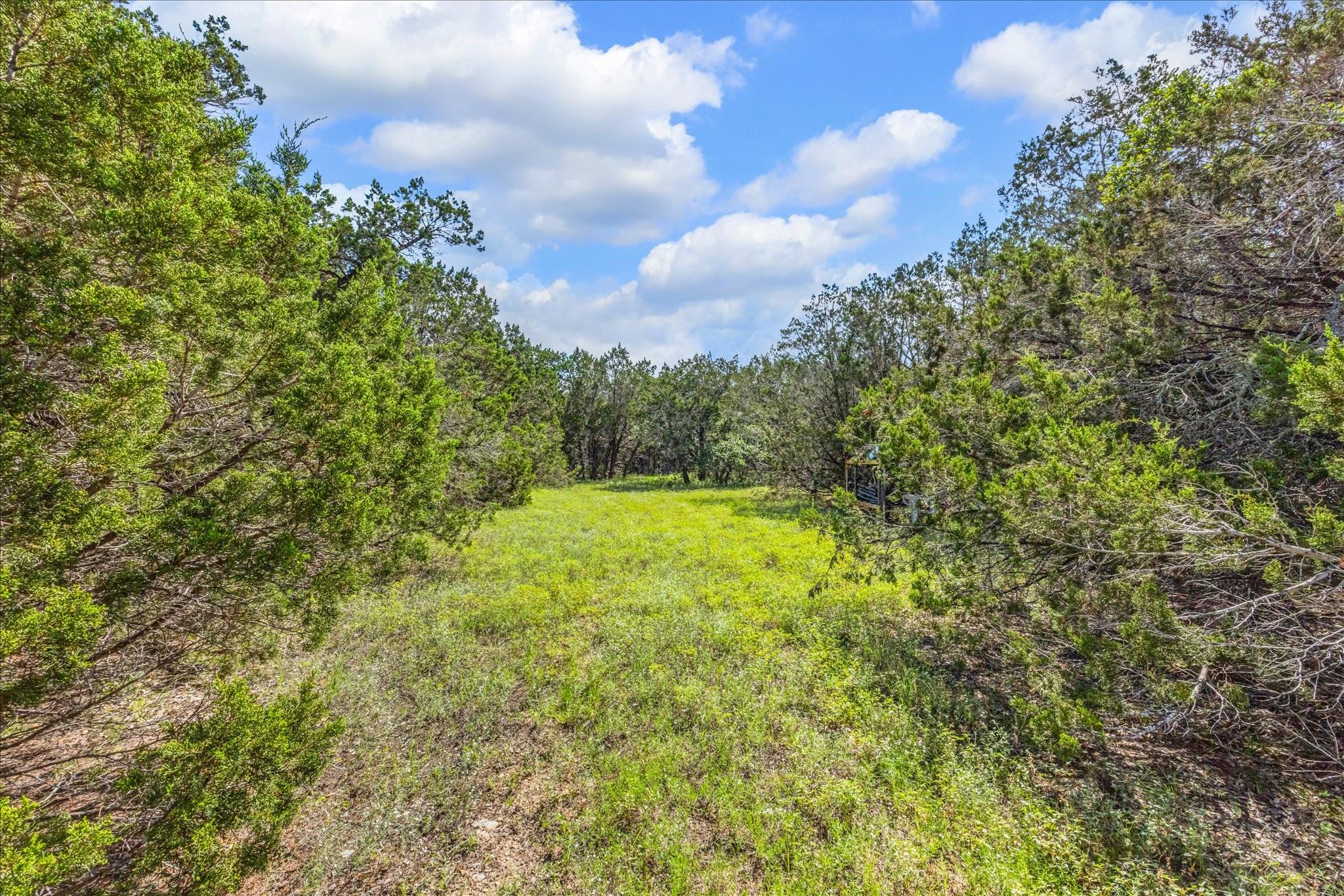 2453 S Rainbow Ranch Rd Property Photo 8
