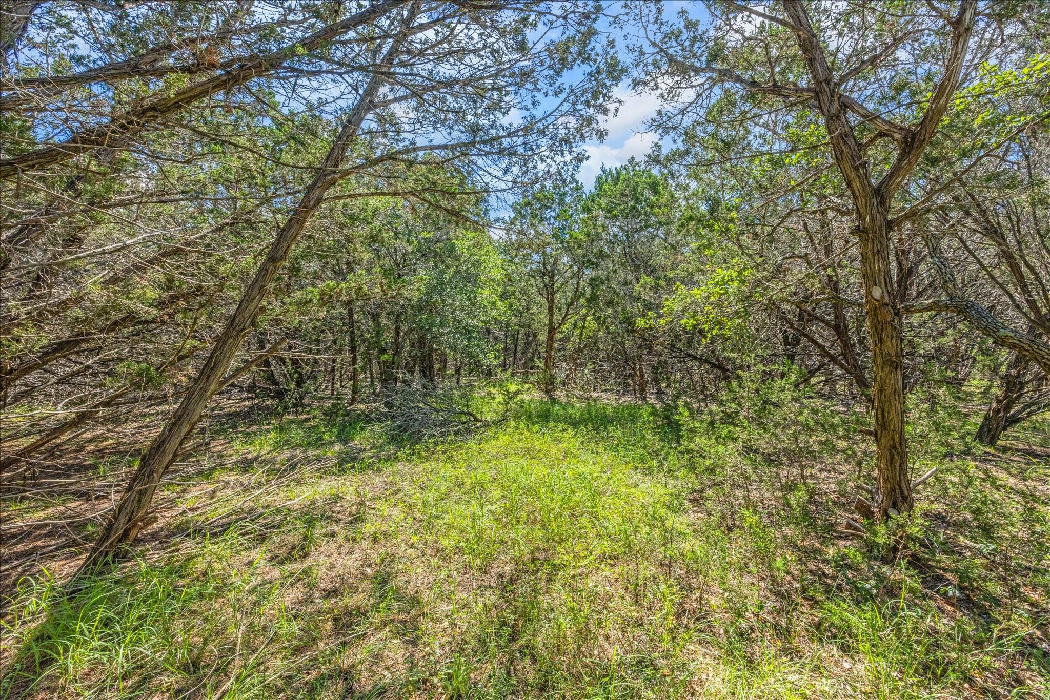 2453 S Rainbow Ranch Rd Property Photo 10