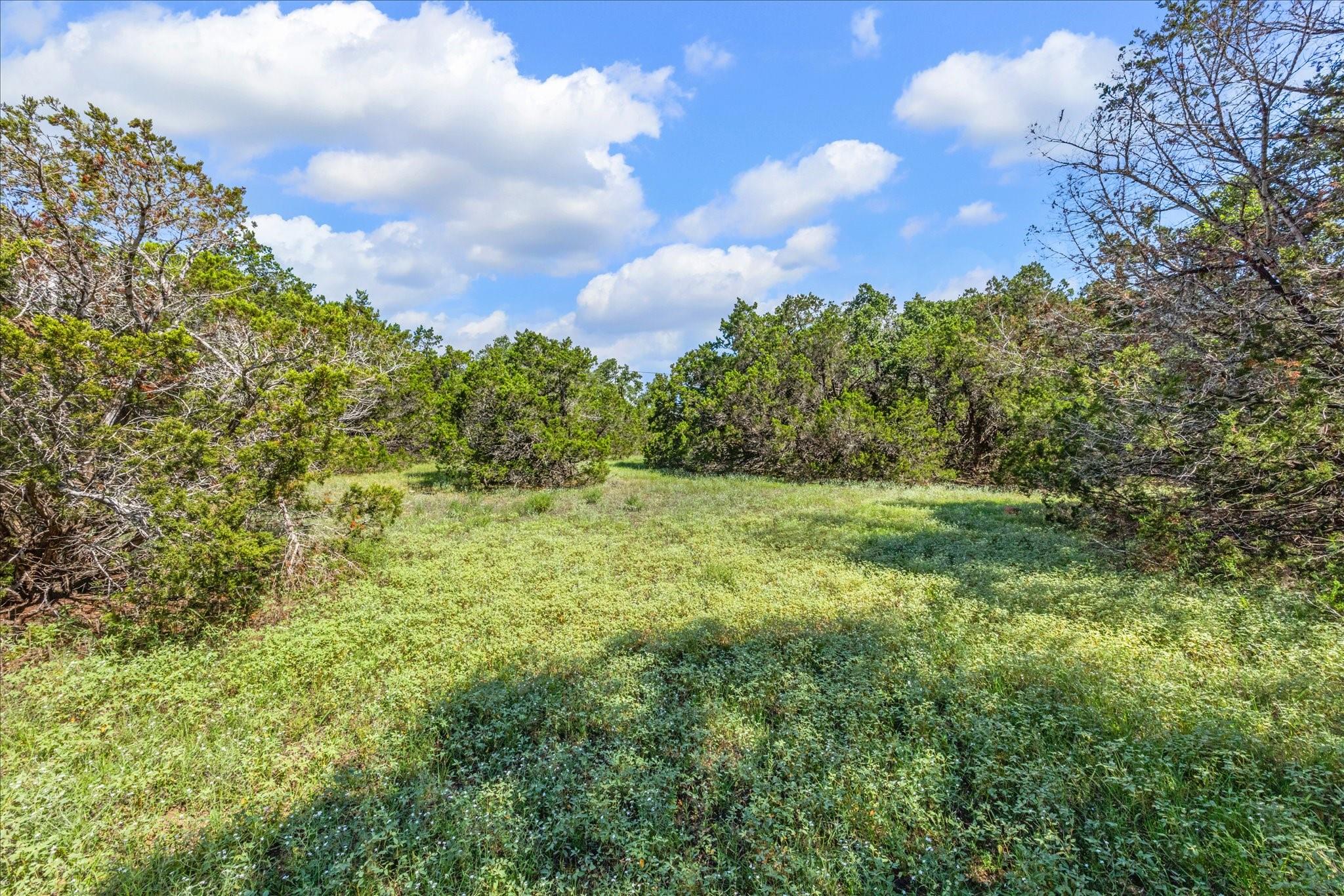 2453 S Rainbow Ranch Rd Property Photo 11