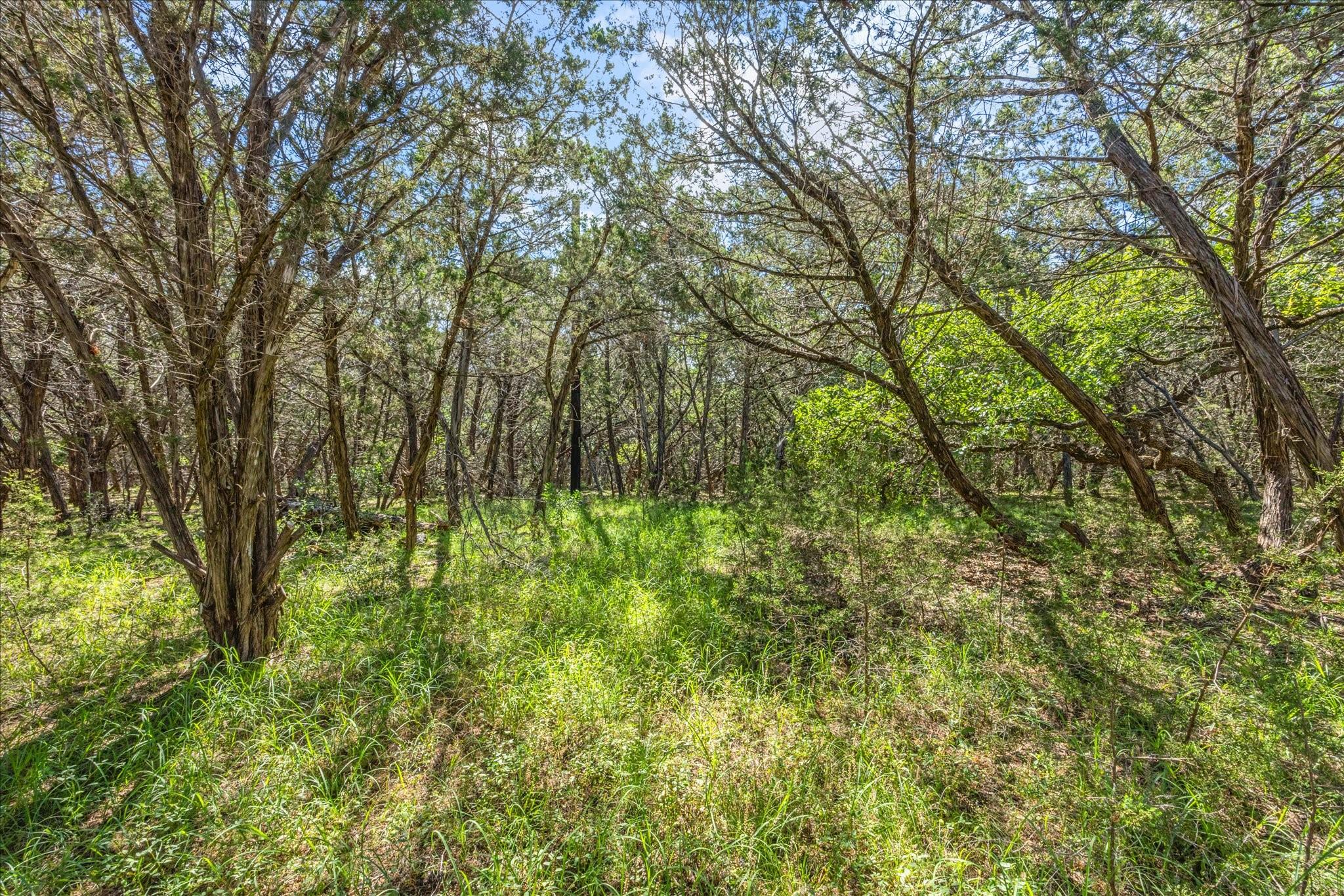 2453 S Rainbow Ranch Rd Property Photo 12