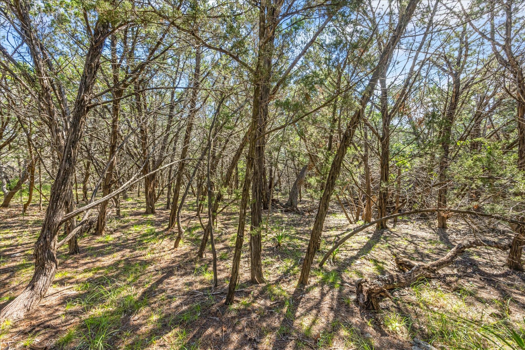 2453 S Rainbow Ranch Rd Property Photo 13