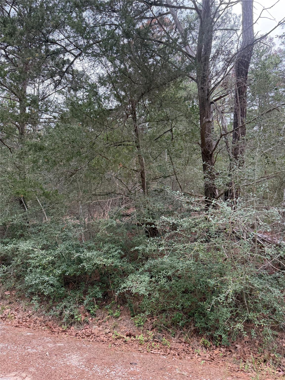 Lot 1428 Keeau Ct Property Photo 2