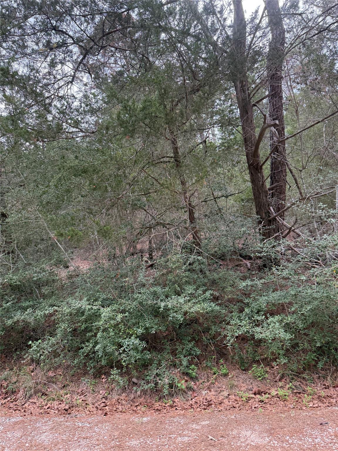 Lot 1428 Keeau Ct Property Photo 3