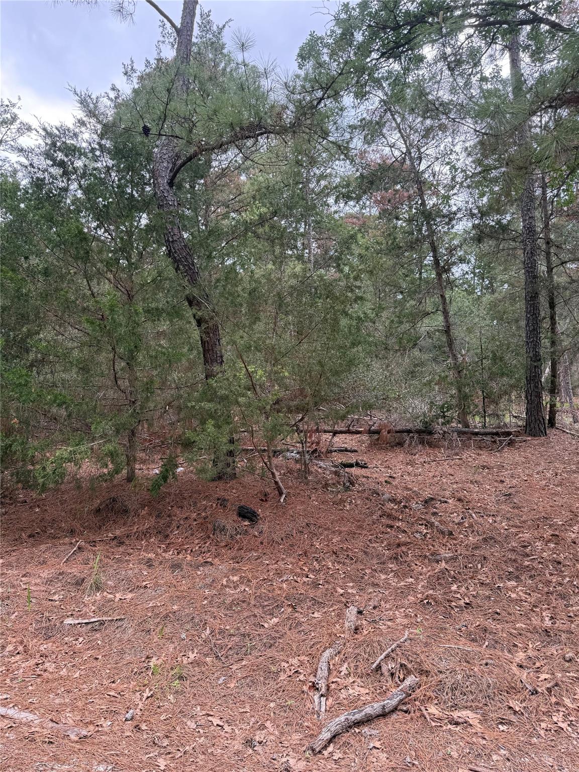 Lot 1428 Keeau Ct Property Photo 4