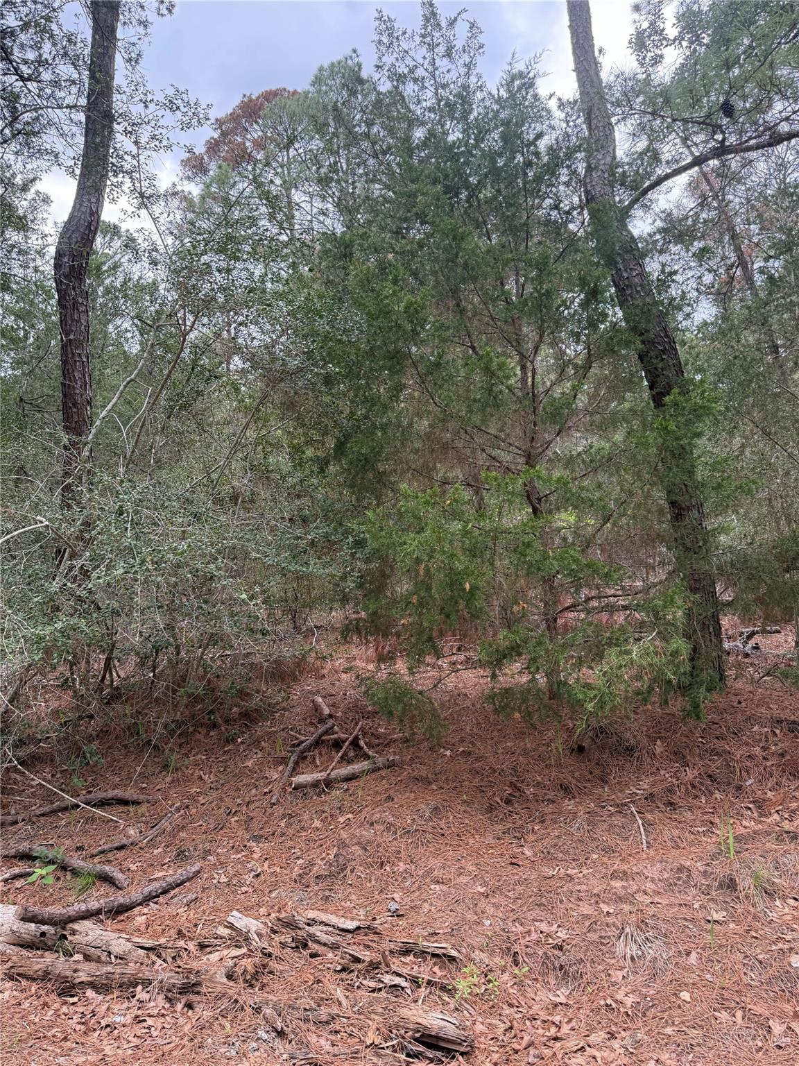 Lot 1428 Keeau Ct Property Photo 5