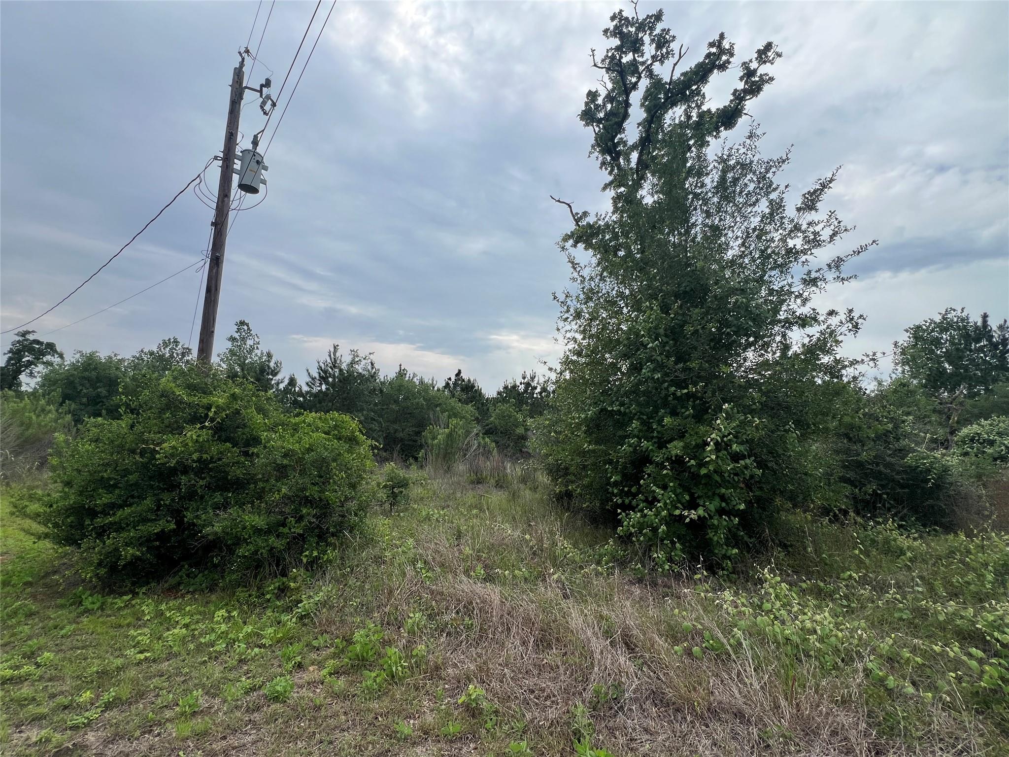 Tbd Blue Jay Rd Property Photo 5