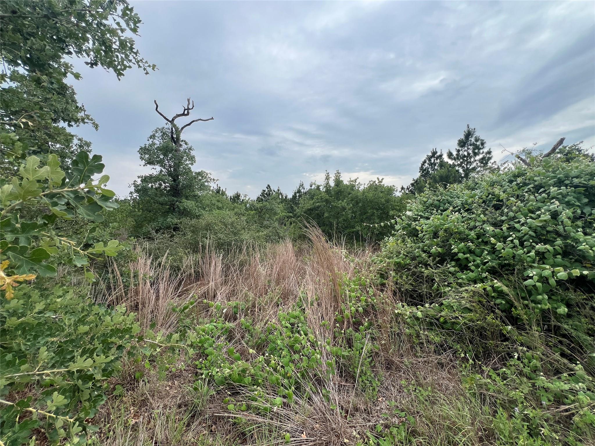 Tbd Blue Jay Rd Property Photo 8