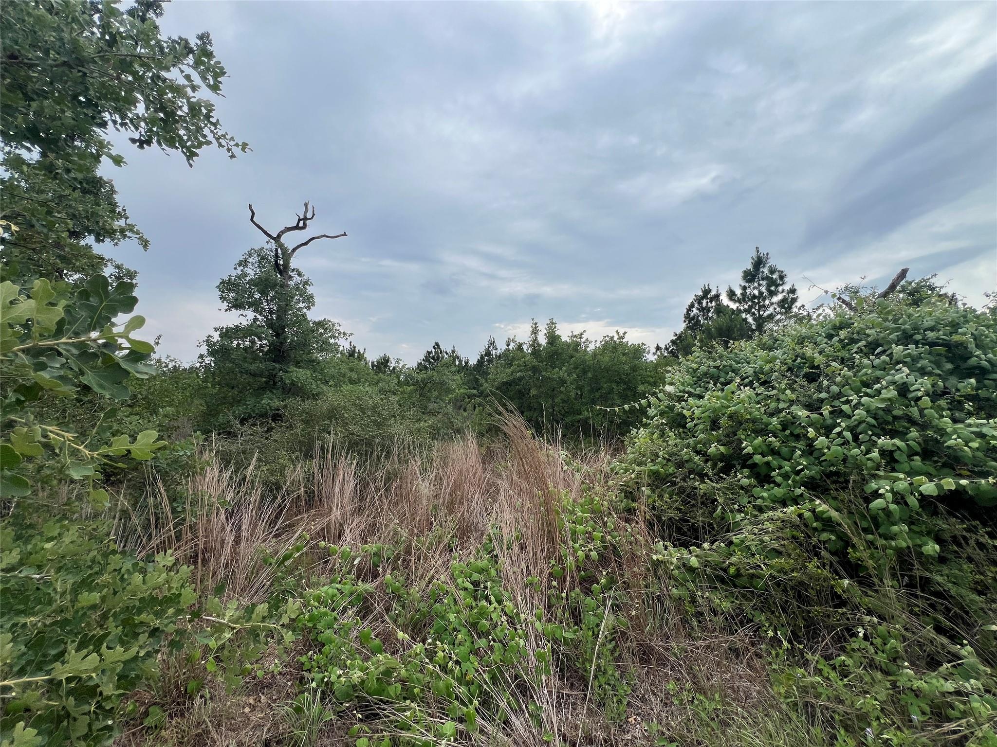 Tbd Blue Jay Rd Property Photo 9
