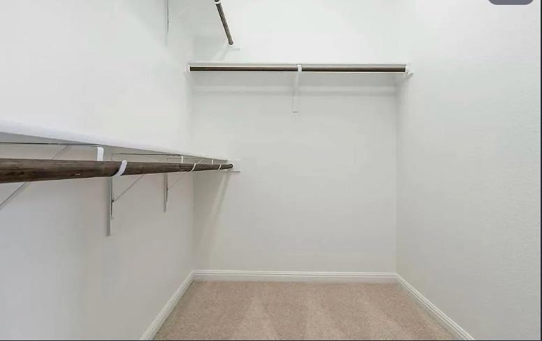 4441 Arques Ave Property Photo 24